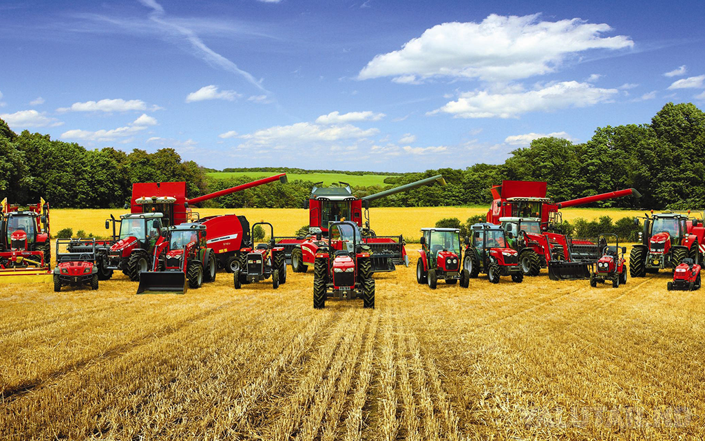 Средняя урожайность зерновых на 35% превысила показатель за последние пять лет – министр Эдуард Грама