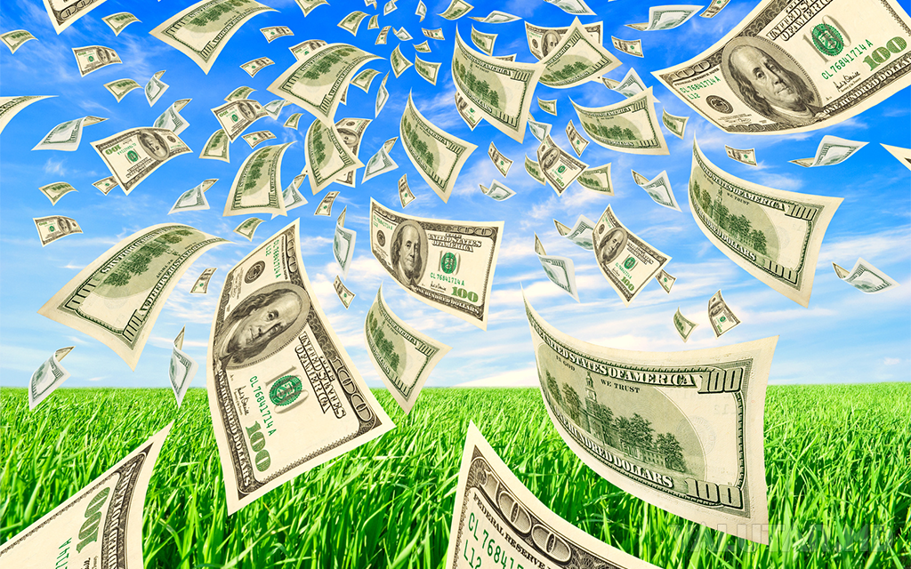 AIPA a achitat circa 100 mil. lei subvenţii agricultorilor