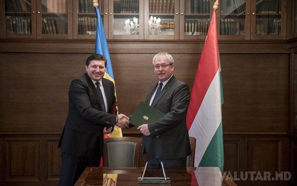 Moldova și Ungaria își vor extinde cooperarea în domeniul agriculturii